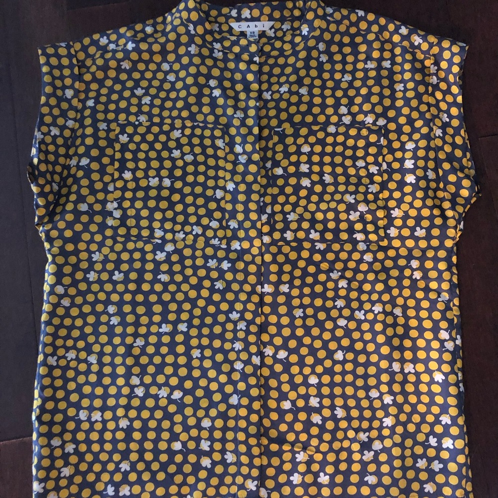 Cabi blouse style 183